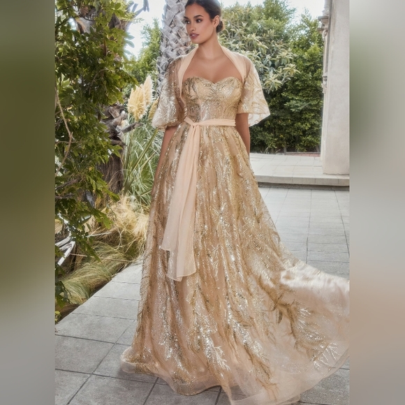 1174 Dresses & Skirts - Gold,blue,silver,mauve pink strapless long gown with shawl cape